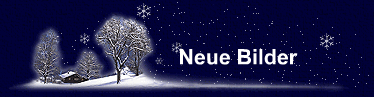 Neue Bilder